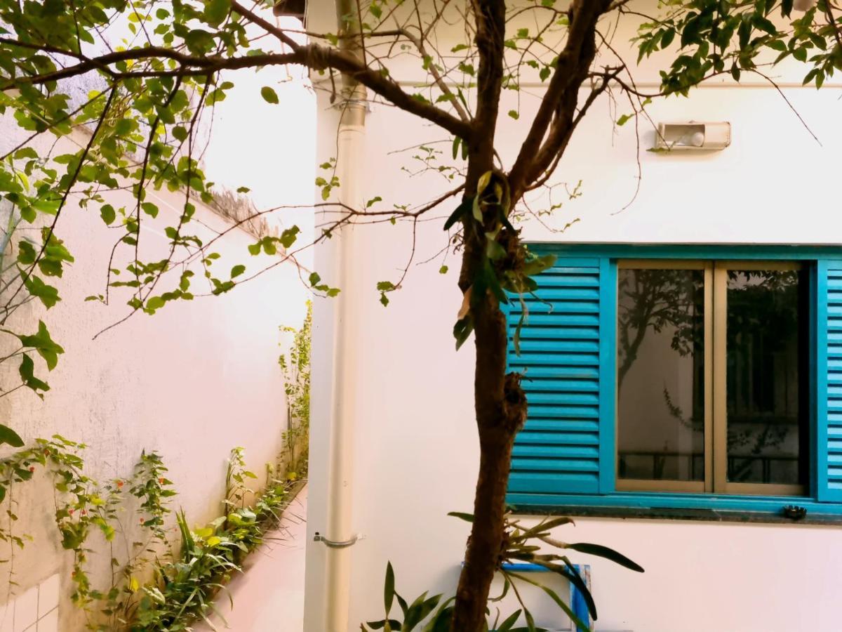 Hobi Hostel AeroportoCongonhas São Paulo Exterior foto